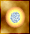 Level 70 Rebirth Pill