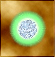 Level 75 Rebirth Pill
